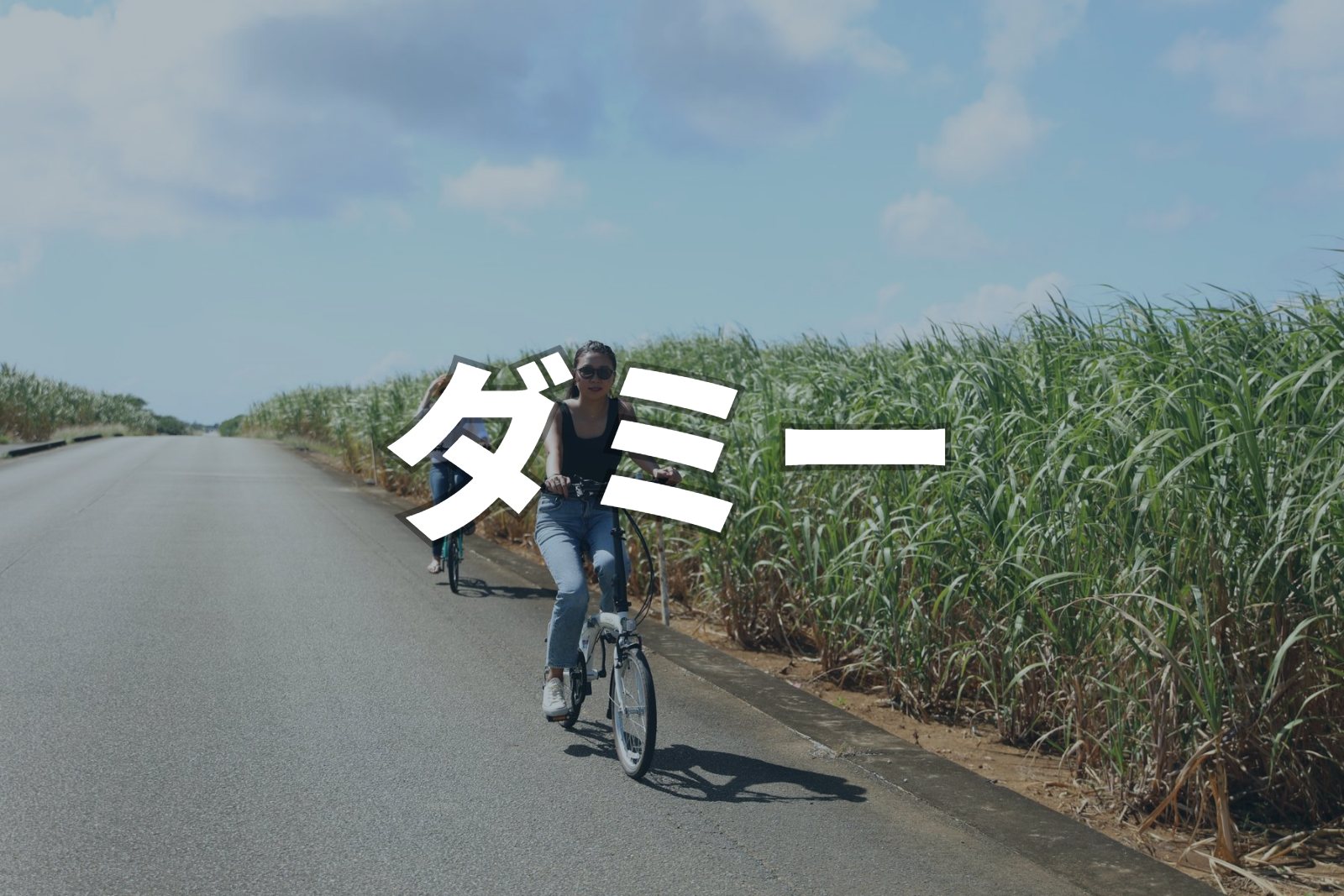 ダミー画像